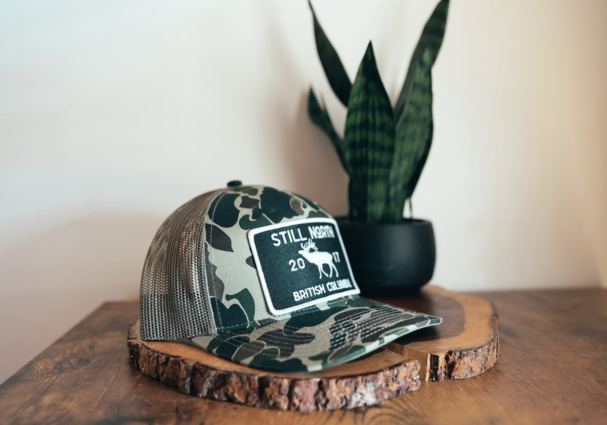 Hat Series - Elk in the woods