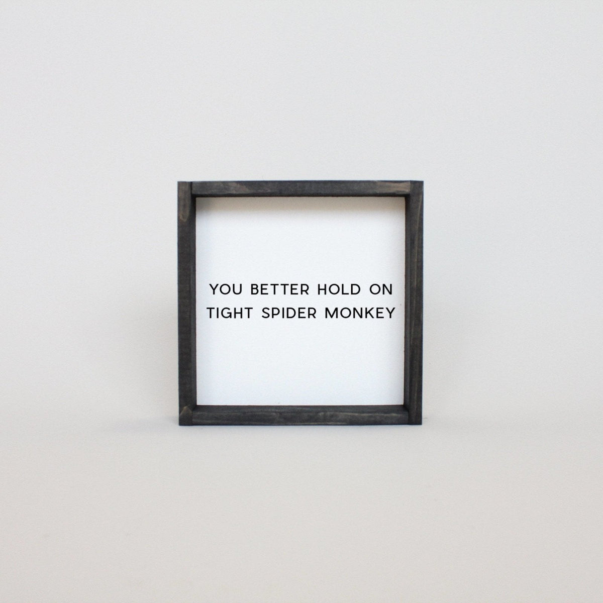 You Better Hold on Tight Spider Monkey Wood Sign